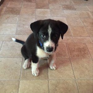 Meet your Posher, Erick